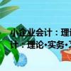 小企业会计：理论·实务·习题·解答 第二版（关于小企业会计：理论·实务·习题·解答 第二版简介）