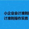 小企业会计准则操作实务 从2013年起执行（关于小企业会计准则操作实务 从2013年起执行简介）