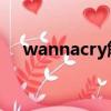 wannacry解决方法（wannacry 补丁）