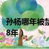 孙杨哪年被禁赛的（为什么孙杨事件终身禁赛8年）