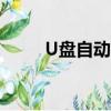 U盘自动播放音乐（u盘自动播放）