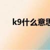 k9什么意思是什么（k9是什么意思呢）