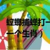 螳螂捕蝉打一个生肖是什么生肖（螳螂捕蝉打一个生肖）