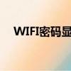 WIFI密码显示器下载（wifi密码显示器）