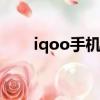 iqoo手机防盗功能（手机防盗功能）