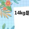 14kg是多少斤（1kg是多少斤）