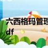 六西格玛管理法:世界顶级企业追求卓越之道pdf