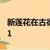 新莲花在古德伍德首次亮相之前被戏弄为3-11