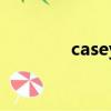 casey（关于casey的简介）