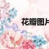 花瓣图片（关于花瓣图片的简介）