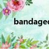 bandaged（关于bandaged的简介）