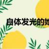 自体发光的她（关于自体发光的她的简介）