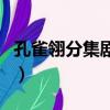 孔雀翎分集剧情（关于孔雀翎分集剧情的简介）