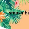 smash hit（关于smash hit的简介）