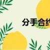 分手合约（关于分手合约的简介）