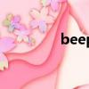 beep（关于beep的简介）