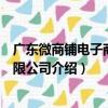 广东微商铺电子商务有限公司（关于广东微商铺电子商务有限公司介绍）