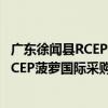 广东徐闻县RCEP菠萝国际采购交易中心（关于广东徐闻县RCEP菠萝国际采购交易中心介绍）