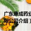 广东康成药业有限公司（关于广东康成药业有限公司介绍）