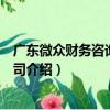 广东微众财务咨询有限公司（关于广东微众财务咨询有限公司介绍）