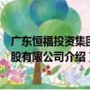 广东恒福投资集团控股有限公司（关于广东恒福投资集团控股有限公司介绍）