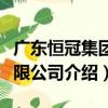 广东恒冠集团有限公司（关于广东恒冠集团有限公司介绍）