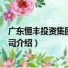 广东恒丰投资集团有限公司（关于广东恒丰投资集团有限公司介绍）