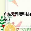 广东无界限科技有限公司（关于广东无界限科技有限公司介绍）