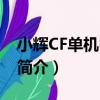 小辉CF单机中文版（关于小辉CF单机中文版简介）