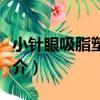 小针眼吸脂塑形术（关于小针眼吸脂塑形术简介）