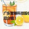 广东智臻科技股份有限公司（关于广东智臻科技股份有限公司介绍）