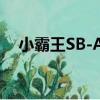 小霸王SB-A7（关于小霸王SB-A7简介）