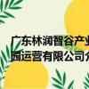 广东林润智谷产业园运营有限公司（关于广东林润智谷产业园运营有限公司介绍）