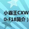 小霸王CXW-200-F18（关于小霸王CXW-200-F18简介）