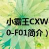 小霸王CXW-200-F01（关于小霸王CXW-200-F01简介）