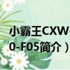 小霸王CXW-200-F05（关于小霸王CXW-200-F05简介）