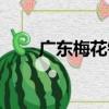 广东梅花镇（关于广东梅花镇介绍）