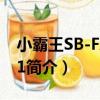 小霸王SB-FX40A1（关于小霸王SB-FX40A1简介）