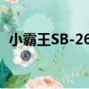 小霸王SB-26B（关于小霸王SB-26B简介）