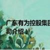 广东有为控股集团有限公司（关于广东有为控股集团有限公司介绍）