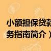 小额担保贷款实务指南（关于小额担保贷款实务指南简介）