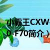 小霸王CXW-200-F70（关于小霸王CXW-200-F70简介）