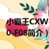 小霸王CXW-200-F08（关于小霸王CXW-200-F08简介）