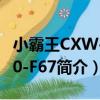 小霸王CXW-200-F67（关于小霸王CXW-200-F67简介）