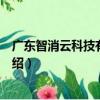 广东智消云科技有限公司（关于广东智消云科技有限公司介绍）