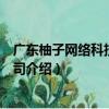 广东柚子网络科技有限公司（关于广东柚子网络科技有限公司介绍）