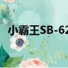 小霸王SB-626（关于小霸王SB-626简介）