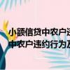 小额信贷中农户违约行为及其风险控制研究（关于小额信贷中农户违约行为及其风险控制研究简介）