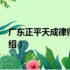 广东正平天成律师事务所（关于广东正平天成律师事务所介绍）