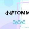 小驴TOMMY（关于小驴TOMMY简介）